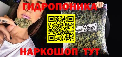 прущие крисы Краснодар