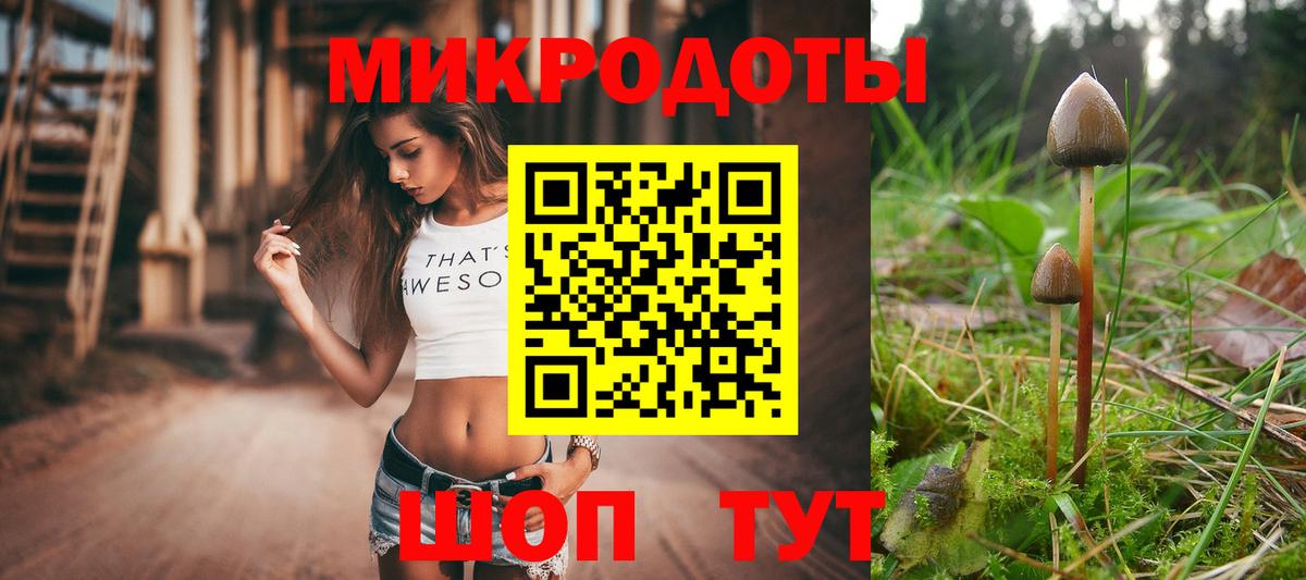 Усть-Илимск  Псилоцибиновые грибы мицелий  Вход с VPN 