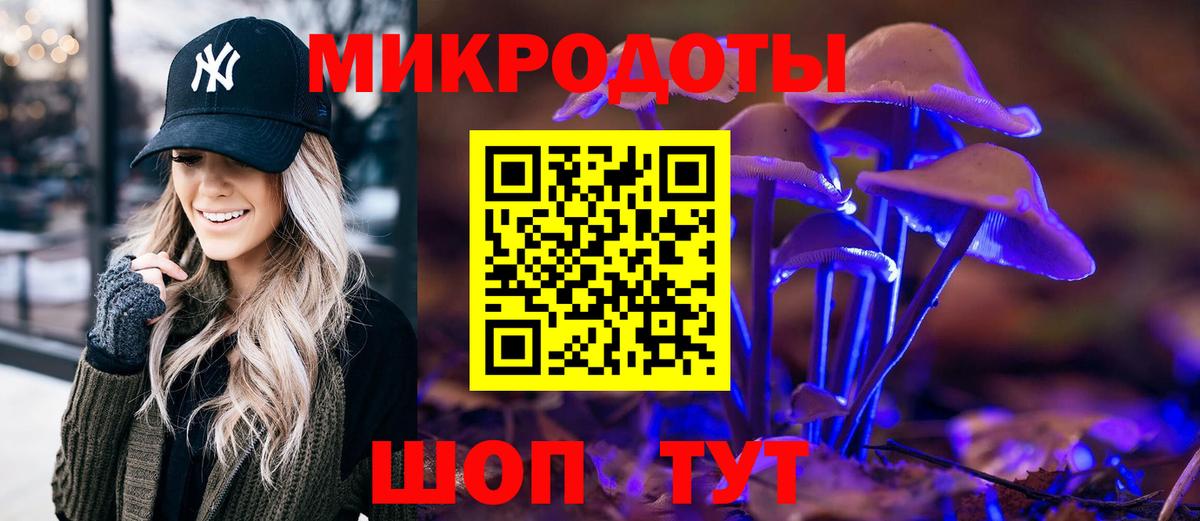 Псилоцибиновые грибы Cubensis Усть-Илимск